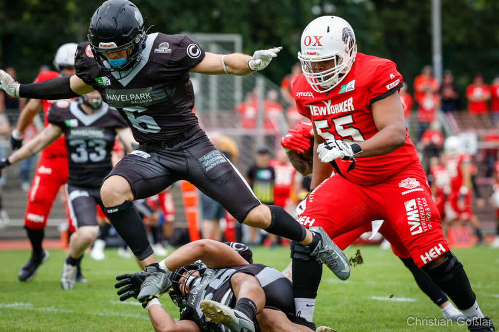 Berlin Rebels, New Yorker Lions, AFVD, American Football