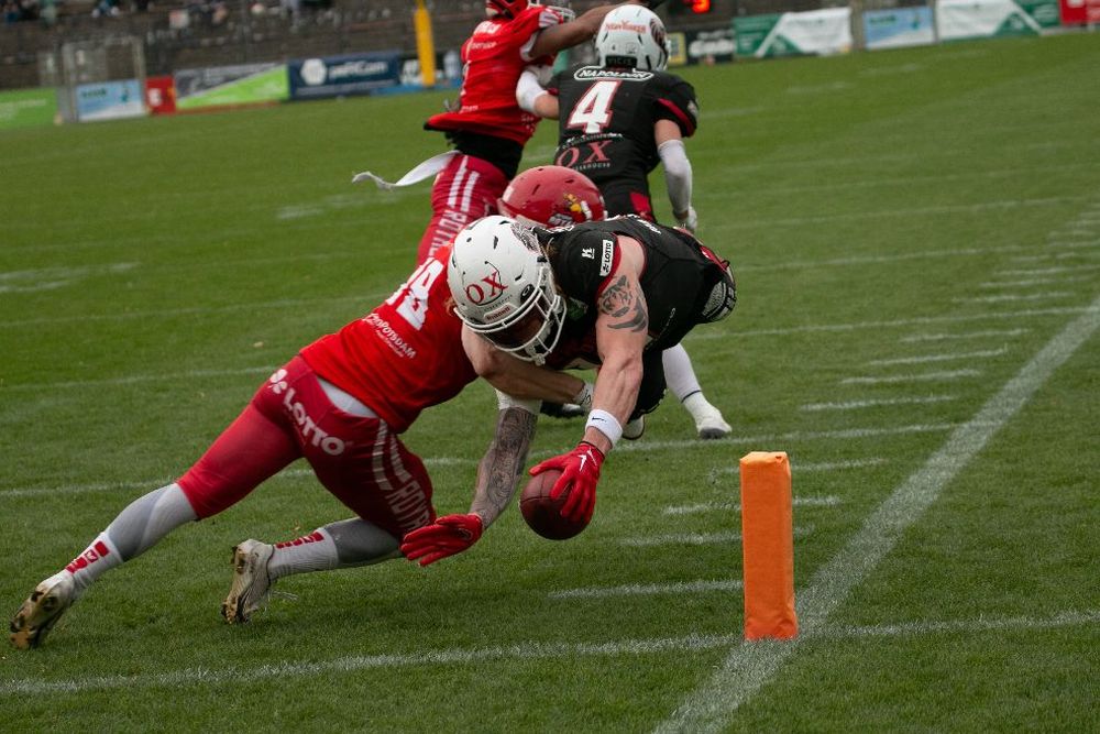 Potsdam Royals vs. New Yorker Lions