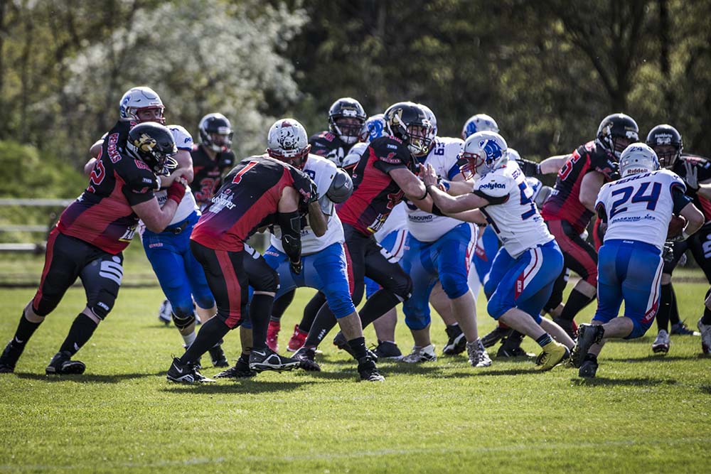 Frankfurt Red Cocks Berlin Bears German Football Network AFVD AFVBB