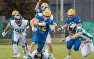 Thalheim Graz Giants, Danube Dragons, AFL, AFBÖ, American Football, German Football Network,
