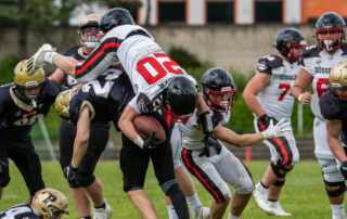 Düsseldorf Panther, Paderborn Dolphins, American Football, AFVD, American Football Verband Deutschland, GFL, German Football League, German Football Network,