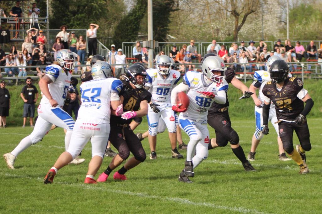 Pforzheim Wilddogs GFL2 American Football, AFVD, American Football Verband Deutschland, GFL, German Football League, German Football Network,