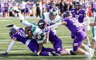 Austrian Football League, AFBÖ, Germn Football Network