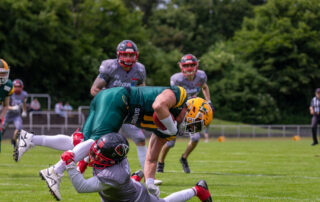 Cologne Crocodiles, Solingen Paladins, Regionalliga, American Football, AFVD, American Football Verband Deutschland, GFL, German Football League, German Football Network,
