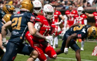 New Yorker Lions, American Football, AFVD, American Football Verband Deutschland, GFL, German Football League, German Football Network