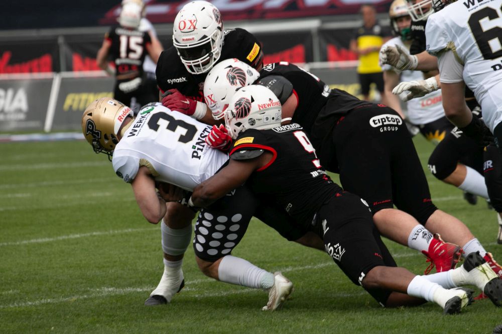 New Yorker Lions, Paderborn Dolphins, American Football, AFVD, American Football Verband Deutschland, GFL, German Football League, German Football Network