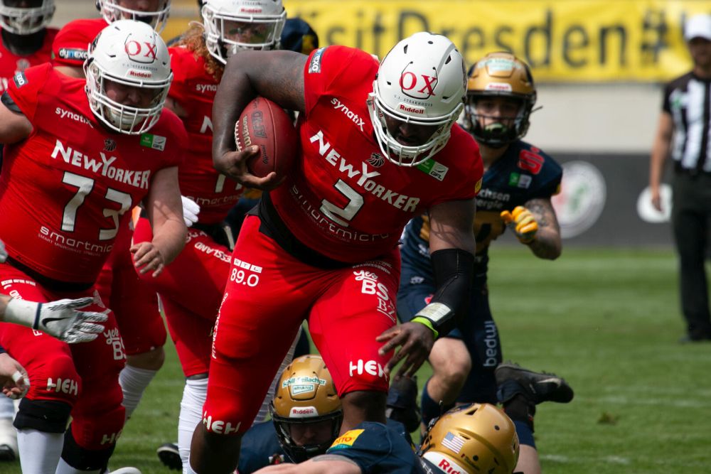 New Yorker Lions, American Football, AFVD, American Football Verband Deutschland, GFL, German Football League, German Football Network