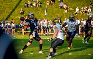 Paderborn Dolphins, Dresden Monarchs AFVD, American Football Verband Deutschland, GFL, German Football League, German Football Network,