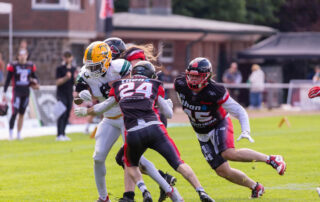 Solingen Paladins, Cologne Crocodiles, American Football, AFVD, American Football Verband Deutschland, GFL, German Football League, German Football Network,