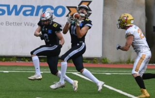 Austrian Football League, AFBÖ, Germn Football Network