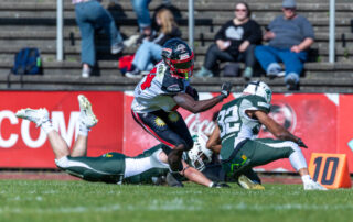 Düsseldorf Panther, Bielefeld Bulldogs, American Football, AFVD, American Football Verband Deutschland, GFL, GFL2, German Football League, German Football League 2, German Football Network,