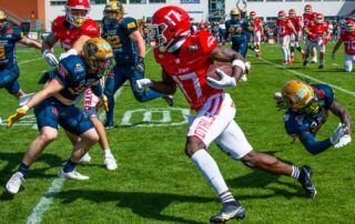 Potsdam Royals, Dresden Monarchs, American Football, AFVD, American Football Verband Deutschland, GFL, German Football League, GFL2, Regionalliga, German Football Network,