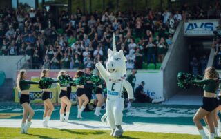 Schwäbisch Hall Unicorns, American Football, AFVD, American Football Verband Deutschland, GFL, German Football League, German Football Network,
