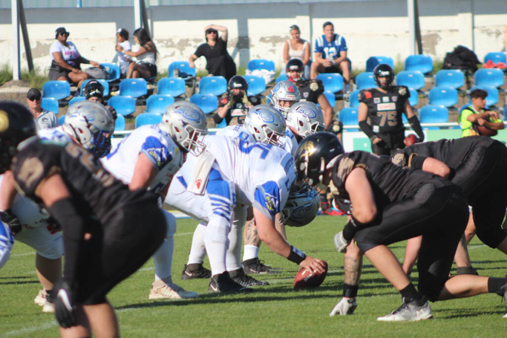 Pforzheim Wilddogs, Albershausen Crusaders, American Football, AFVD, American Football Verband Deutschland, GFL, German Football League, GFL2, Regionalliga, German Football Network,