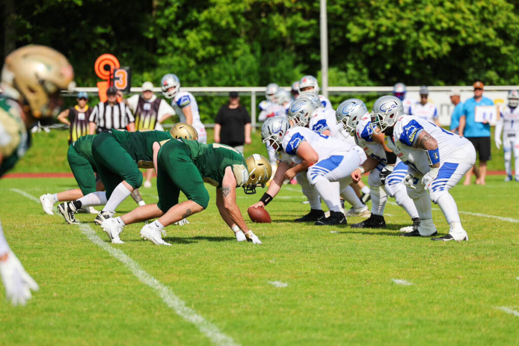 Fighting Farmers Montabaur, Pforzheim Wilddogs, American Football, AFVD, American Football Verband Deutschland, GFL, German Football League, GFL2, Regionalliga, German Football Network,