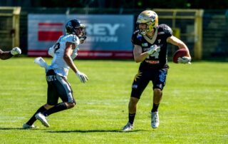 Dolphins am ball gegen rebels 11.08.24