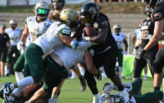 Fighting Farmers Montabaur, Gießen Golden Dragons, American Football, AFVD, American Football Verband Deutschland, GFL, German Football League, German Football Network,
