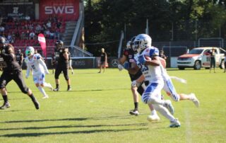 Pforzheim Wilddogs, American Football, AFVD, American Football Verband Deutschland, GFL, German Football League, GFL2, Regionalliga, German Football Network,