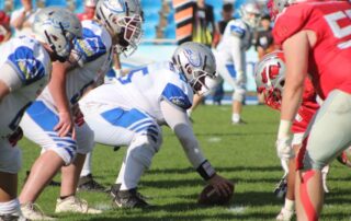 Pforzheim Wilddogs, American Football, AFVD, American Football Verband Deutschland, GFL, German Football League, GFL2, Regionalliga, German Football Network,