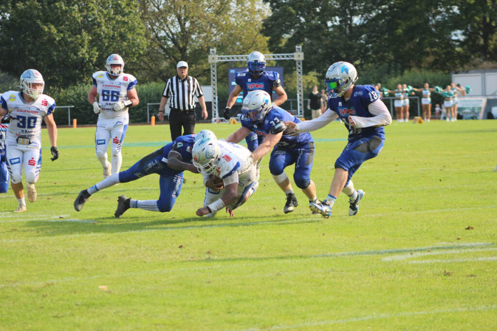 Pforzheim Wilddogs, Albershausen Crusaders, American Football, AFVD, American Football Verband Deutschland, GFL, German Football League, GFL2, Regionalliga, German Football Network,