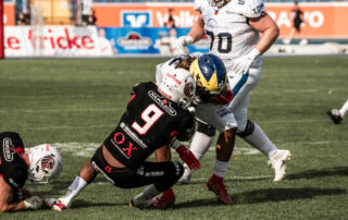 New Yorker Lions, Hildesheim Invaders, American Football, AFVD, American Football Verband Deutschland, GFL, German Football League, GFL2, Regionalliga, German Football Network,