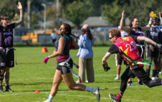 Pink Palas, American Football, AFVD, American Football Verband Deutschland, GFL, German Football League, GFL2, Regionalliga, German Football Network,