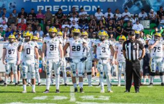 Hildesheim Invaders, Dresden Monarchs, American Football, AFVD, American Football Verband Deutschland, GFL, German Football League, GFL2, Regionalliga, German Football Network,
