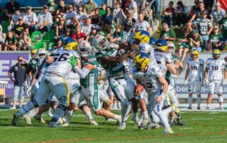 Hildesheim Invaders, Dresden Monarchs, American Football, AFVD, American Football Verband Deutschland, GFL, German Football League, GFL2, Regionalliga, German Football Network,