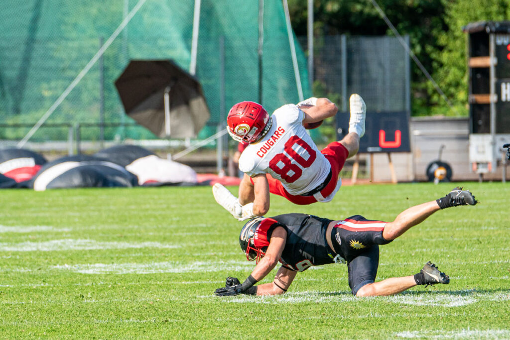 Düsseldorf Panther, Lübeck Cougars, American Football, AFVD, American Football Verband Deutschland, GFL, German Football League, GFL2, Regionalliga, German Football Network,