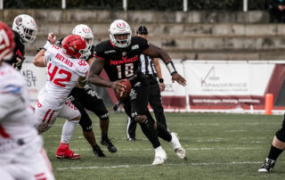 New Yorker Lions, Potsdam Royals, American Football, AFVD, American Football Verband Deutschland, GFL, German Football League, GFL2, Regionalliga, German Football Network,
