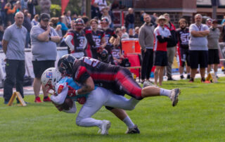 Solingen Paldains, Bonn Gamecocks, American Football, AFVD, American Football Verband Deutschland, GFL, German Football League, GFL2, Regionalliga, German Football Network,