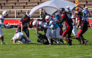 Solingen Paldains, Bonn Gamecocks, American Football, AFVD, American Football Verband Deutschland, GFL, German Football League, GFL2, Regionalliga, German Football Network,