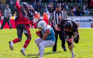 Solingen Paldains, Bonn Gamecocks, American Football, AFVD, American Football Verband Deutschland, GFL, German Football League, GFL2, Regionalliga, German Football Network,