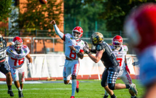 Potsdam Royals, American Football, AFVD, American Football Verband Deutschland, GFL, German Football League, GFL2, Regionalliga, German Football Network,