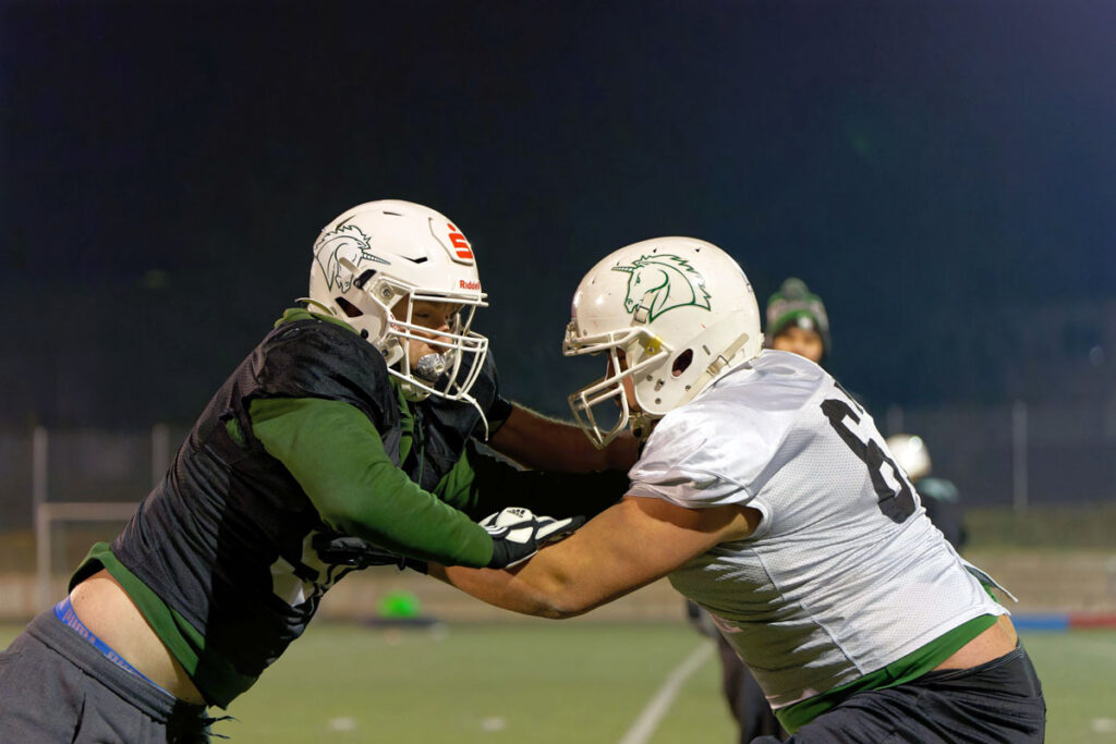 German Football Network, GFN, Schwäbisch Hall Unicorns, German Football League, AFVD, GFL, DFFL, AFBÖ, AFLE, EFA, ELF, American Football, NFL, Football is family