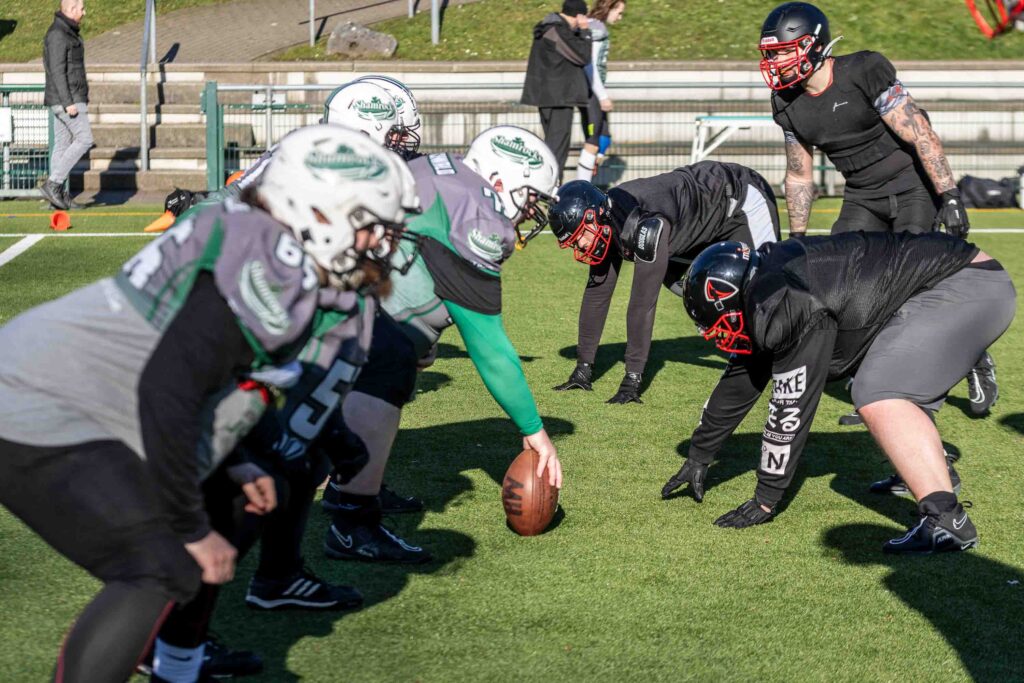 Solingen Paldains, American Football, AFVD, American Football Verband Deutschland, GFL, German Football League, GFL2, Regionalliga, German Football Network, GFN