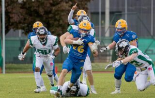 German Football Network, GFN, German Football League, AFVD, GFL, DFFL, AFBÖ, AFLE, EFA, ELF, American Football, NFL, Football is family