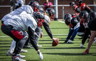 German Football Network, GFN, Solingen Paladins, German Football League, AFVD, GFL, DFFL, AFBÖ, AFLE, EFA, ELF, American Football, NFL, Football is family