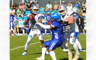 Pforzheim Wilddogs, German Football Network, GFN, Mülheim Shamrocks, Wesseling Blackvenom, German Football League, AFVD, GFL, DFFL, AFBÖ, AFLE, EFA, ELF, American Football, NFL, Football is family