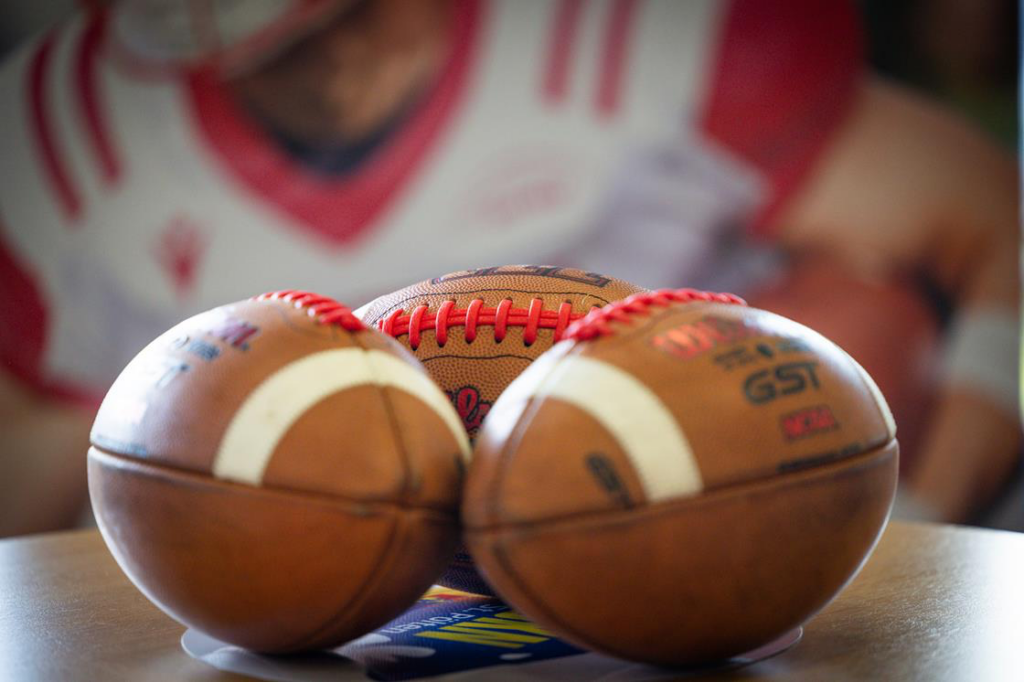 AFBÖ, German Football Network, GFN, German Football League, AFVD, GFL, DFFL, AFBÖ, AFLE, EFA, ELF, American Football, NFL, Football is family