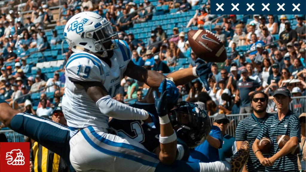 Braunschweig Lions, German Football Network, GFN, German Football League, AFVD, GFL, DFFL, AFBÖ, AFLE, EFA, ELF, American Football, NFL, Football is family