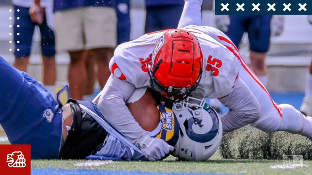 Braunschweig Lions, German Football Network, GFN, German Football League, AFVD, GFL, DFFL, AFBÖ, AFLE, EFA, ELF, American Football, NFL, Football is family