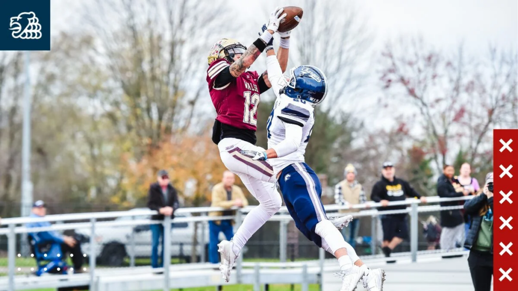 Braunschweig Lions, German Football Network, GFN, German Football League, AFVD, GFL, DFFL, AFBÖ, AFLE, EFA, ELF, American Football, NFL, Football is family