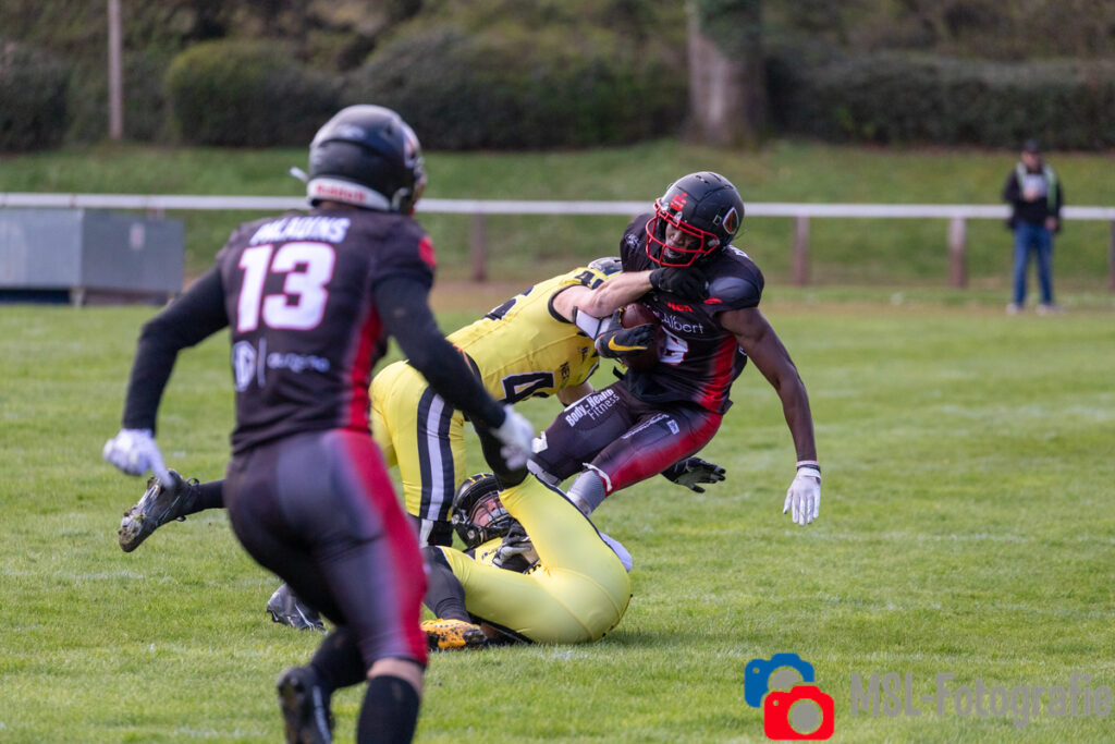 Solingen Paladins, Düsseldorf Bulldozer, German Football Network, GFN, German Football League, AFVD, GFL, DFFL, AFBÖ, AFLE, EFA, ELF, American Football, NFL, Football is family