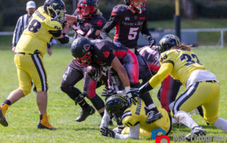 Solingen Paladins, Düsseldorf Bulldozer, German Football Network, GFN, German Football League, AFVD, GFL, DFFL, AFBÖ, AFLE, EFA, ELF, American Football, NFL, Football is family