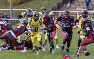 Solingen Paladins, Düsseldorf Bulldozer, German Football Network, GFN, German Football League, AFVD, GFL, DFFL, AFBÖ, AFLE, EFA, ELF, American Football, NFL, Football is family