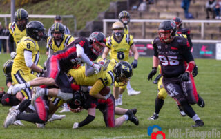 Solingen Paladins, Düsseldorf Bulldozer, German Football Network, GFN, German Football League, AFVD, GFL, DFFL, AFBÖ, AFLE, EFA, ELF, American Football, NFL, Football is family