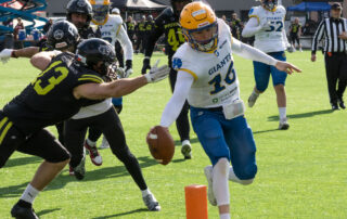 AFBÖ, German Football Network, GFN, German Football League, AFVD, GFL, DFFL, AFBÖ, AFLE, EFA, ELF, American Football, NFL, Football is family