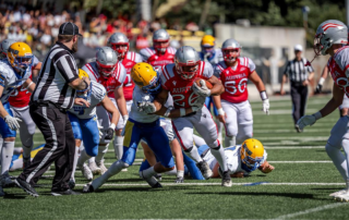 AFBÖ, German Football Network, GFN, German Football League, AFVD, GFL, DFFL, AFBÖ, AFLE, EFA, ELF, American Football, NFL, Football is family