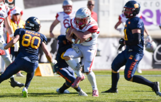 AFBÖ, German Football Network, GFN, German Football League, AFVD, GFL, DFFL, AFBÖ, AFLE, EFA, ELF, American Football, NFL, Football is family